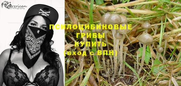 spice Бугульма